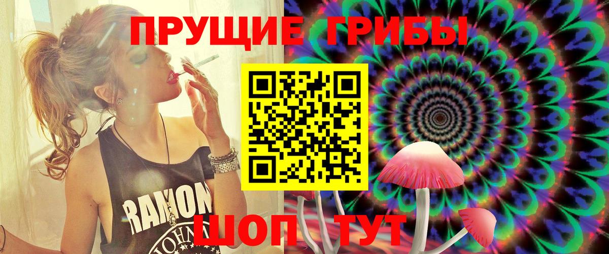 Псилоцибиновые грибы MAGIC MUSHROOMS  Вход с VPN  Щёлково  Псилоцибиновые грибы Cubensis 