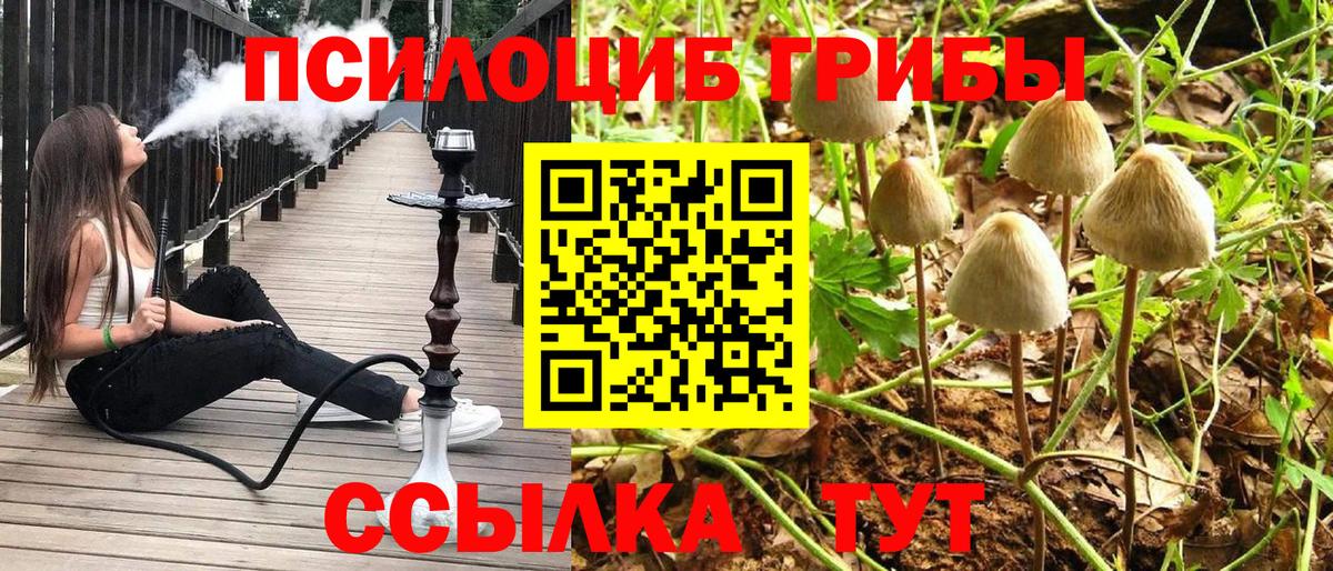 Галлюциногенные грибы мицелий Щёлково